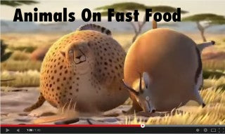 WHAT IF ANIMALS ATE FAST FOOD