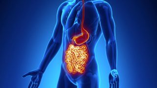 RESEARCHERS TRACKING CAUSE OF CROHN’S