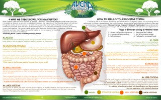 BOWEL TOXEMIA: CAUSE & CURE