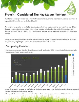 PROTEIN – CONSIDERED THE KEY MACRO NUTRIENT