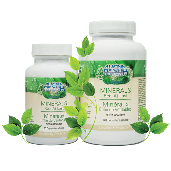 MINERALS - PLANT BASED | Avena Originals